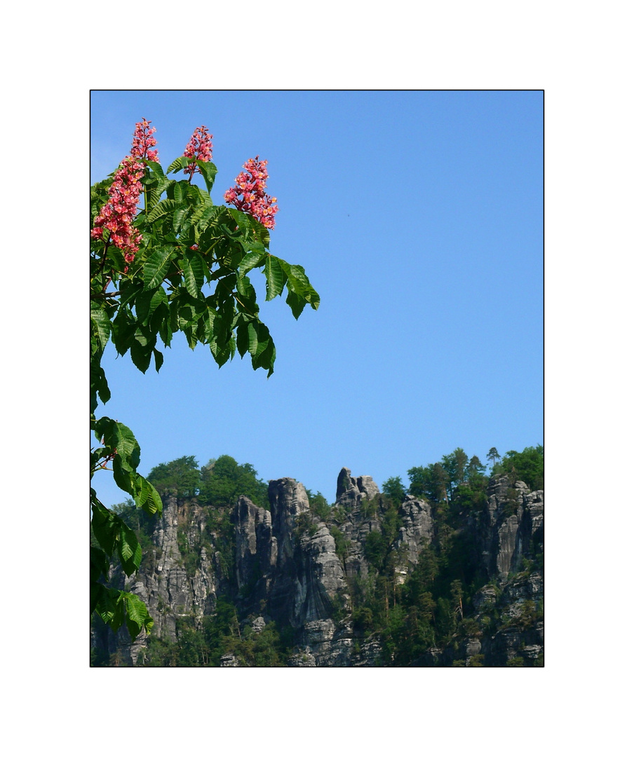 Frühling in der Sächsischen Schweiz