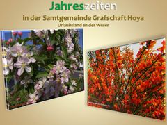 Frühling in der Samtgemeinde Grafschaft Hoya