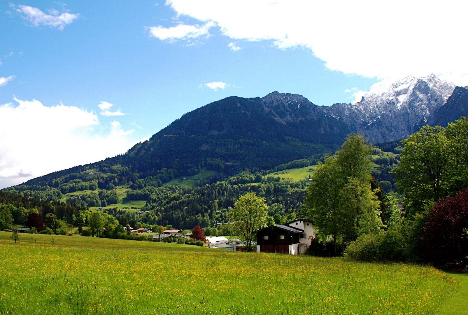 Frühling in der Schönau