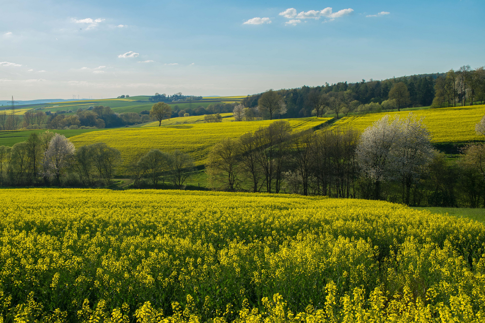 Frühling in der Schwalm