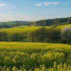 Frühling in der Schwalm