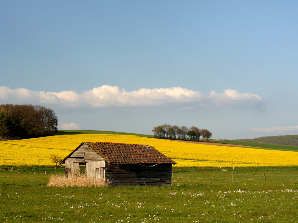 Frühling in der Schwalm