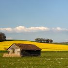 Frühling in der Schwalm