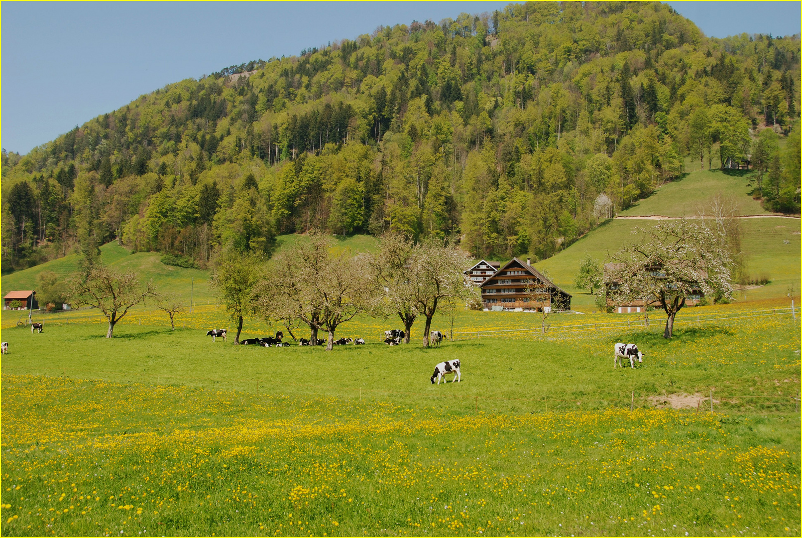 frühling in der schweiz