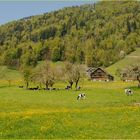 frühling in der schweiz