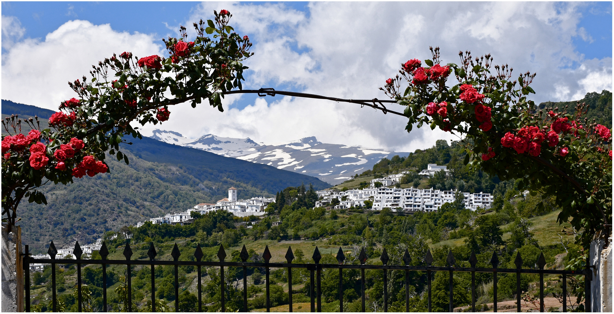 Frühling in der Sierra Nevada, oder...