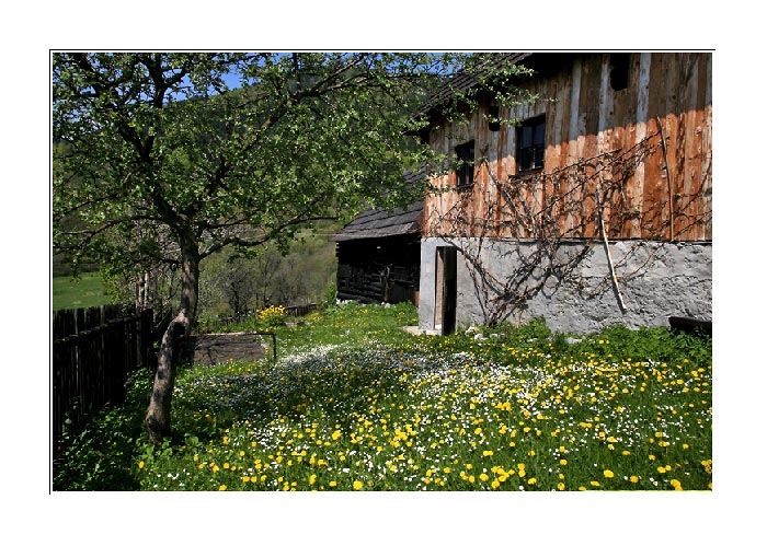 Frühling in der Slowakei