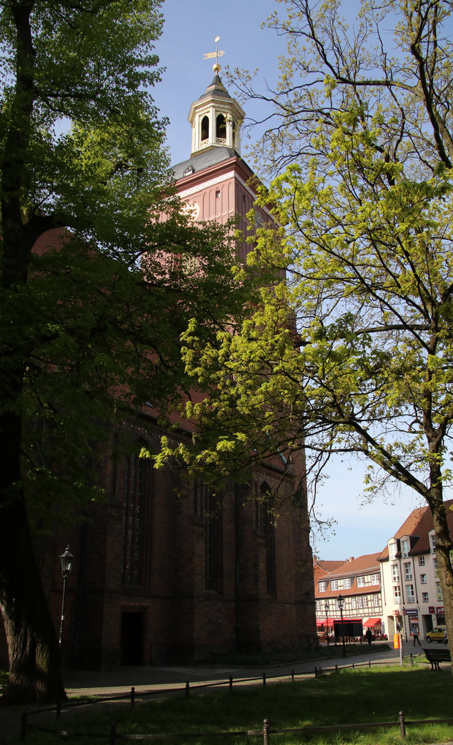 Frühling  in der Spandauer Altstadt