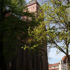 Frühling  in der Spandauer Altstadt