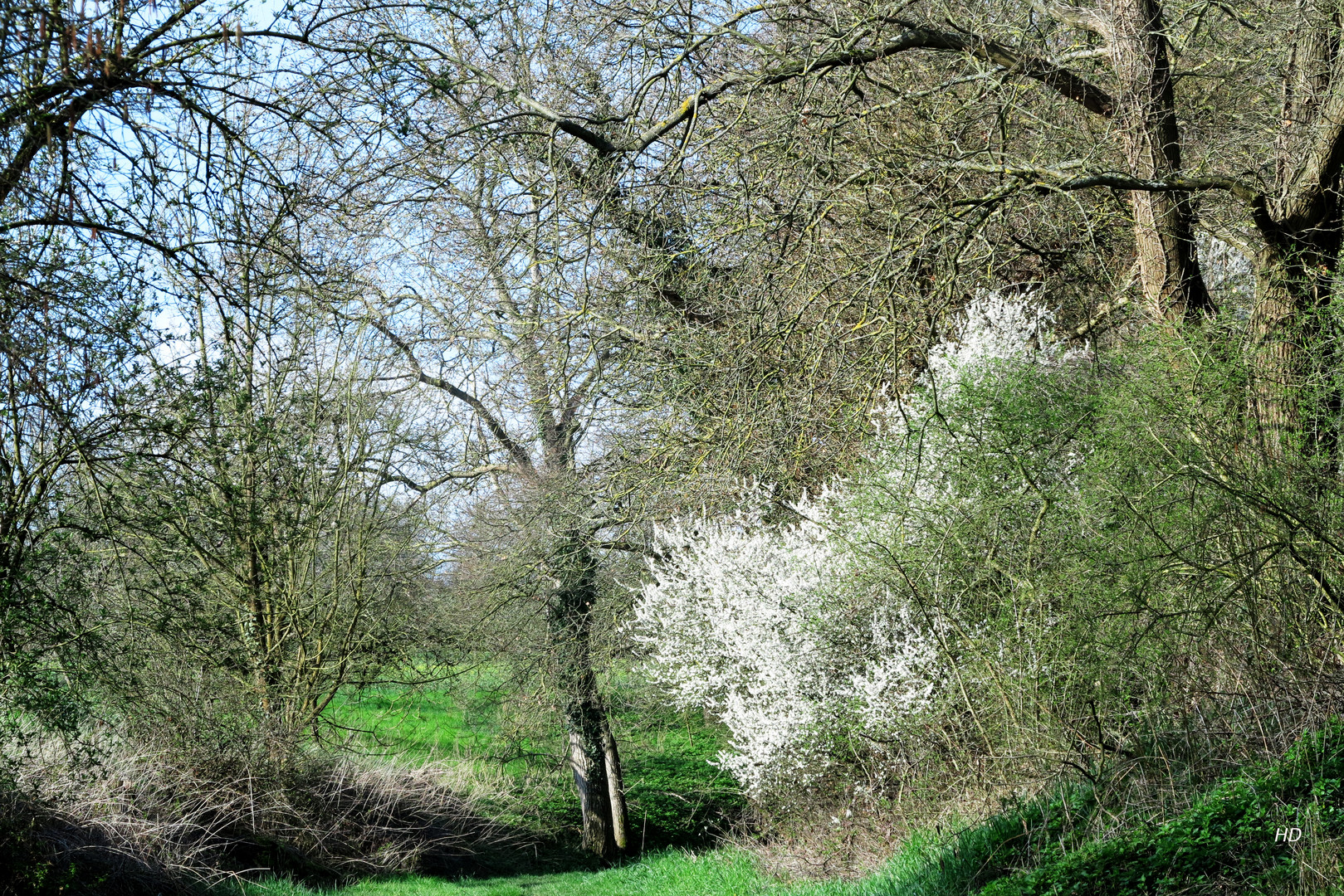 Frühling in der Spermelhohle