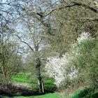 Frühling in der Spermelhohle