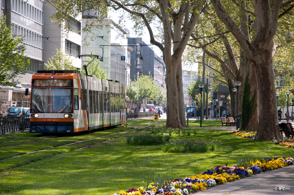 Frühling in der Stadt