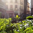 Frühling in der Stadt