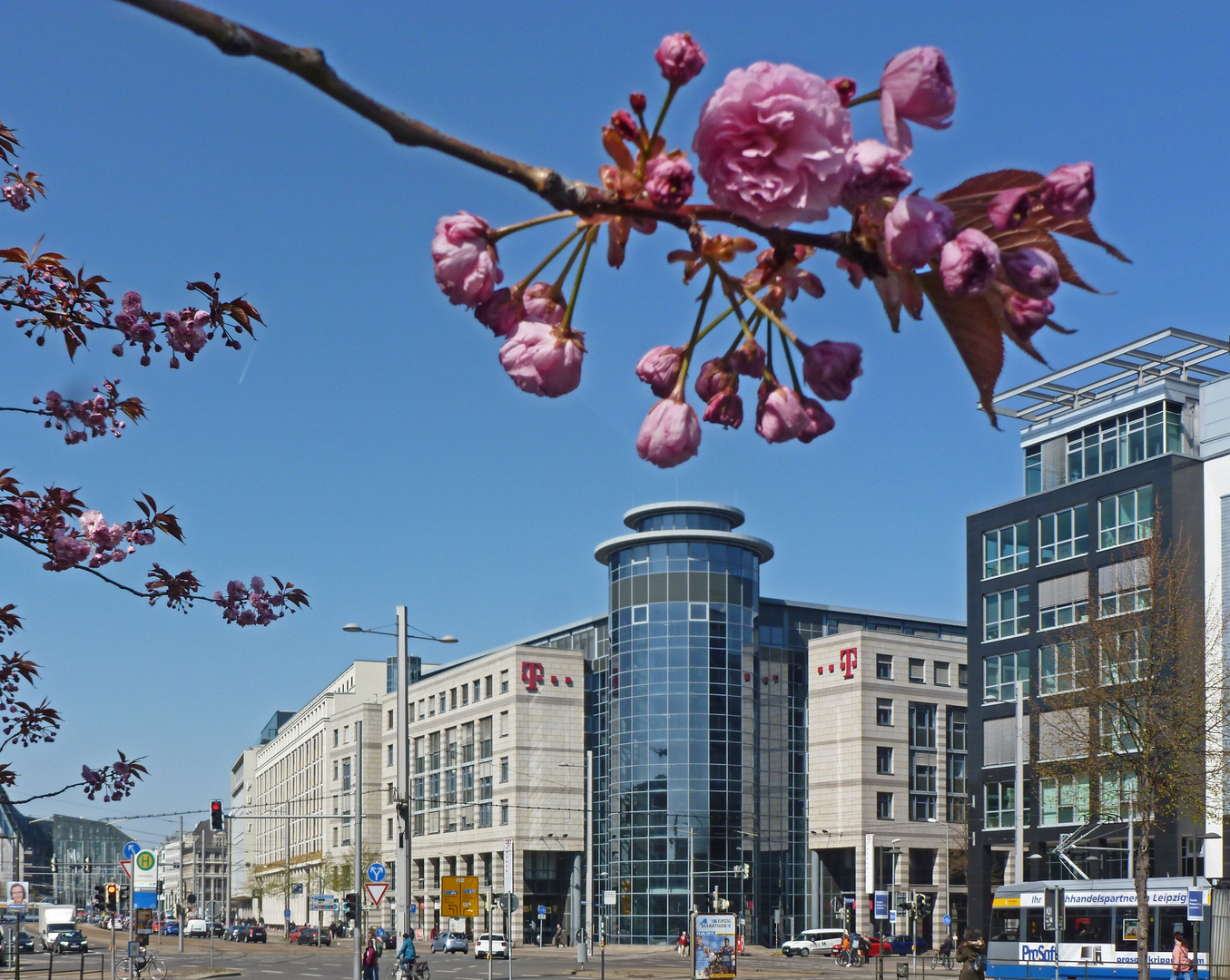 Frühling in der Stadt