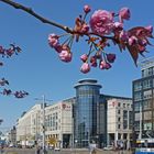 Frühling in der Stadt