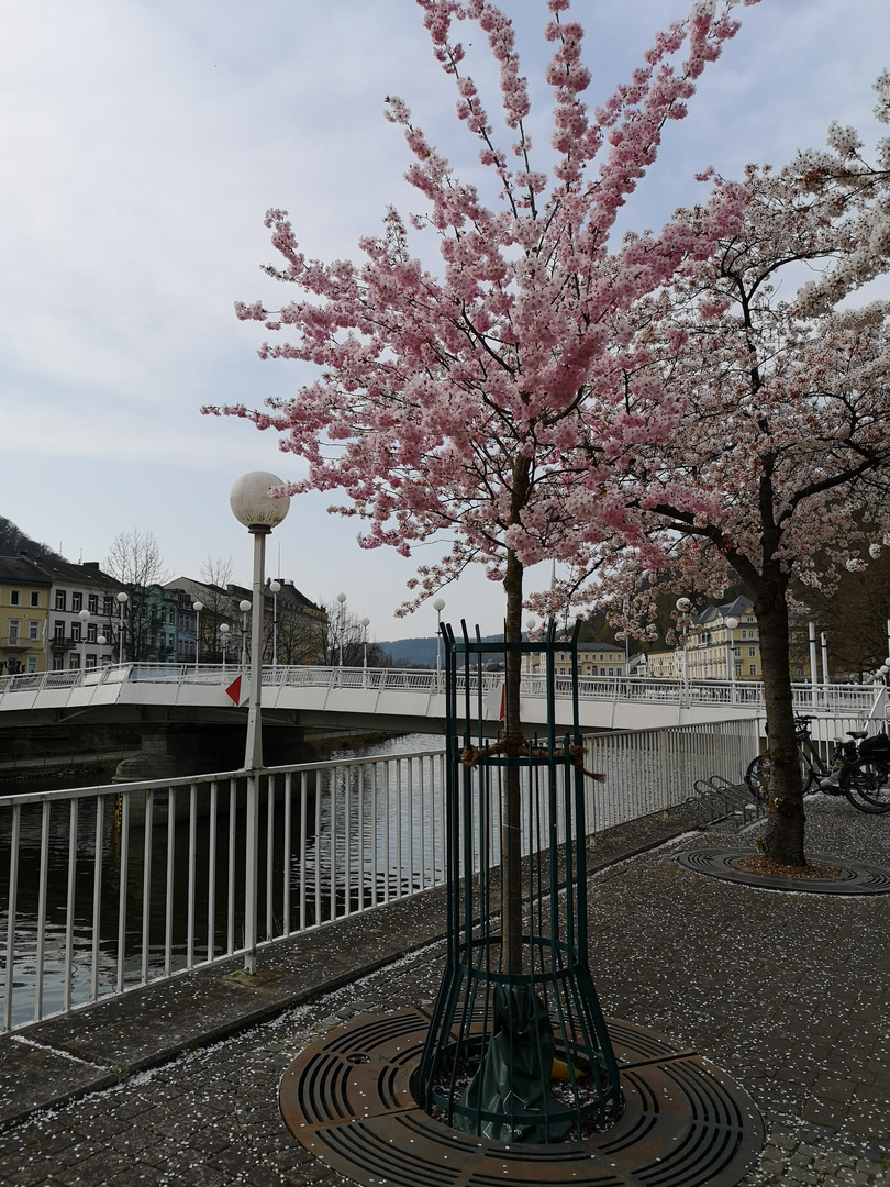 Frühling in der Stadt