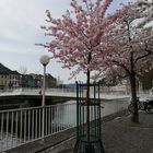 Frühling in der Stadt