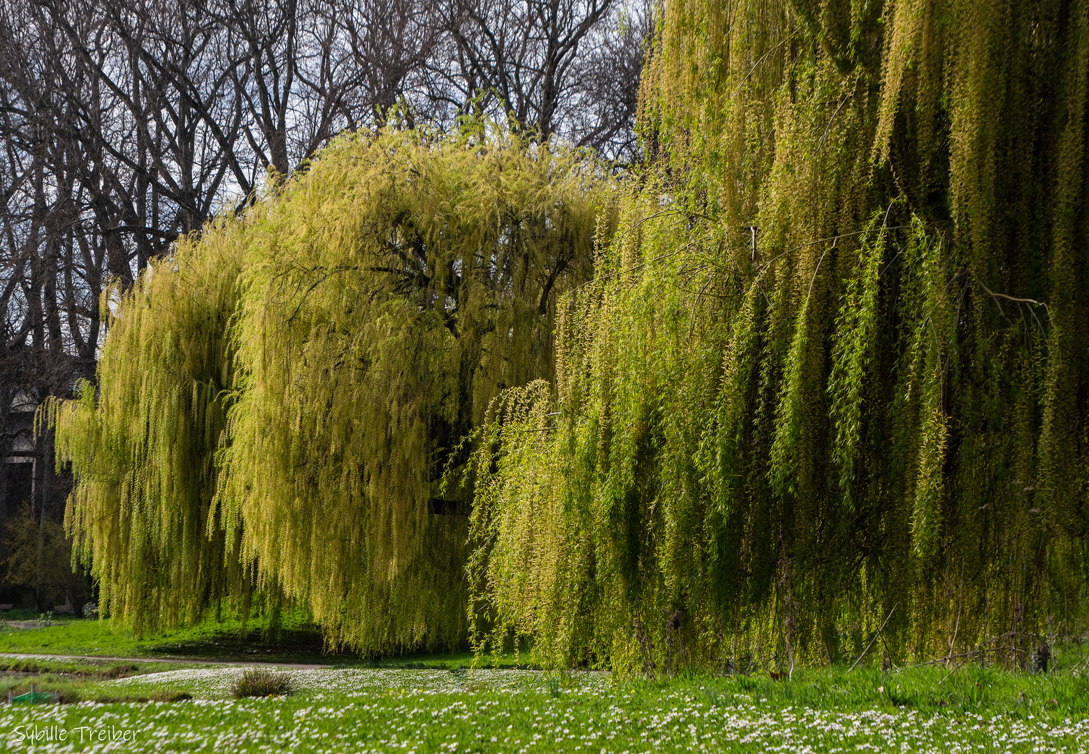 Frühling in der Stadt 2