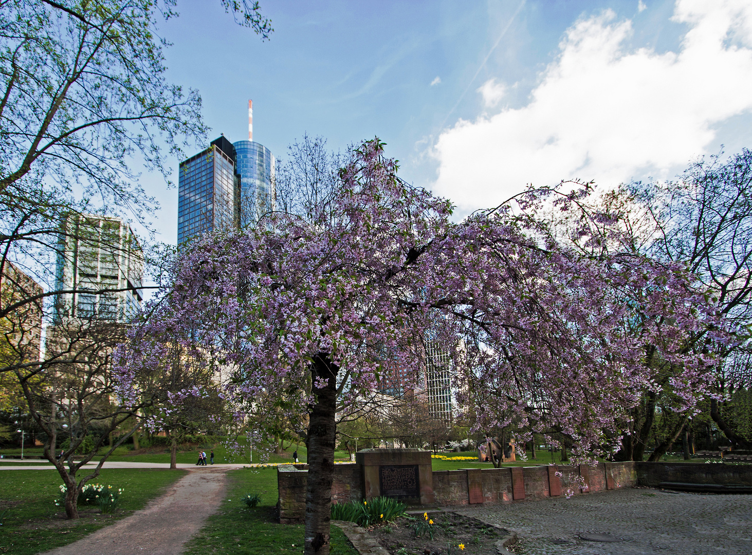 Frühling in der Stadt