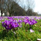 Frühling in der Stadt