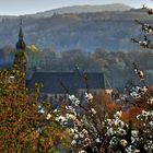 Frühling in der Stadt