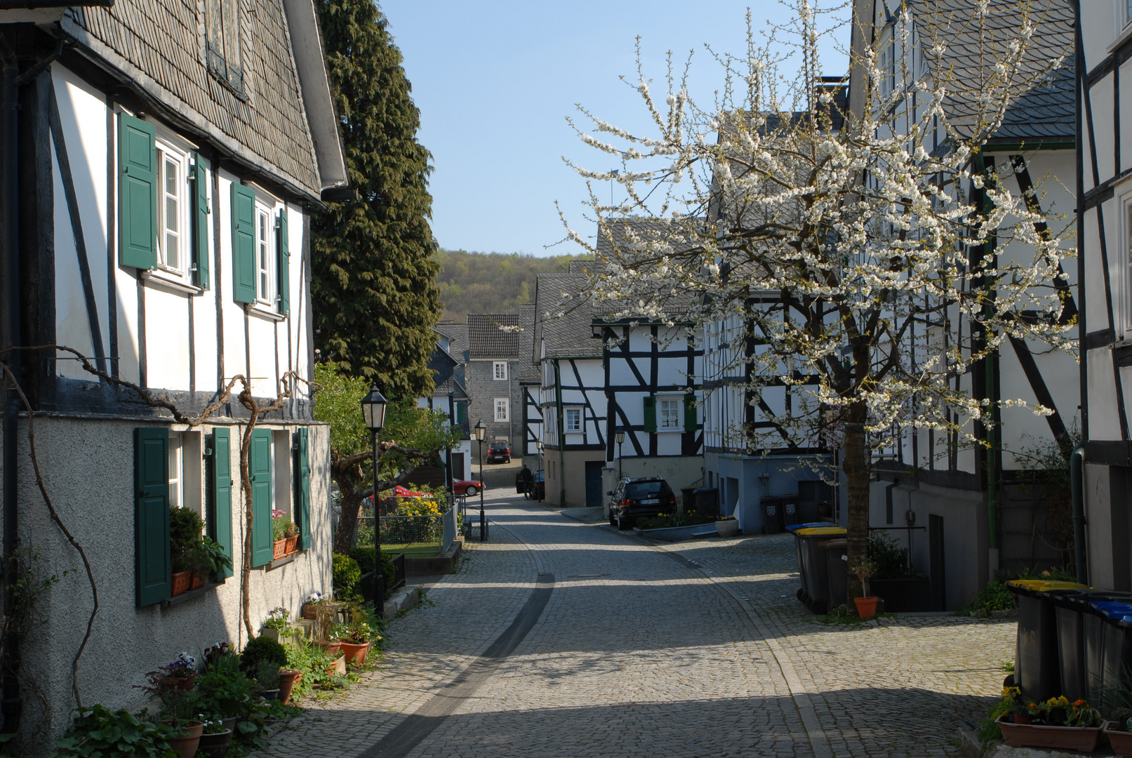 Frühling in der Stadt