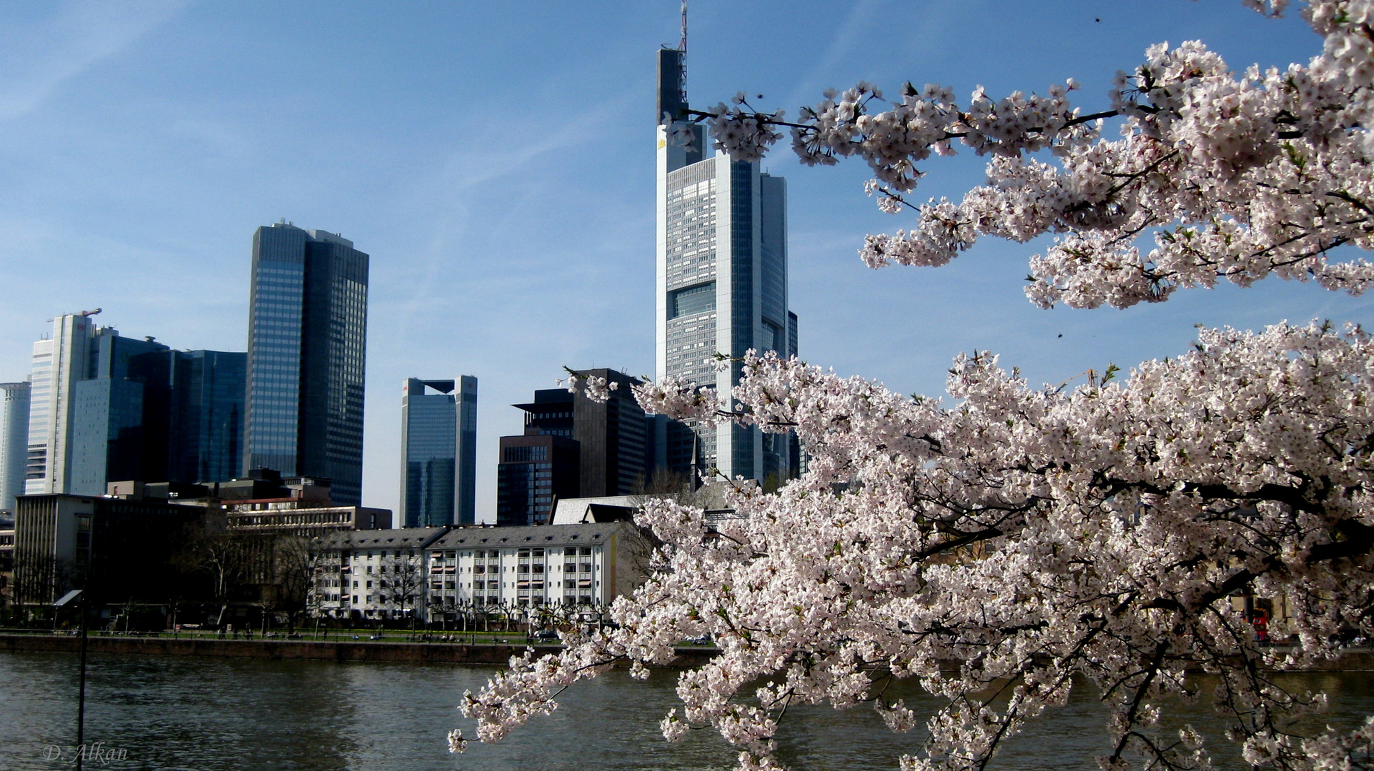 Frühling in der Stadt....