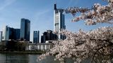 Frühling in der Stadt.... von Dilaike 