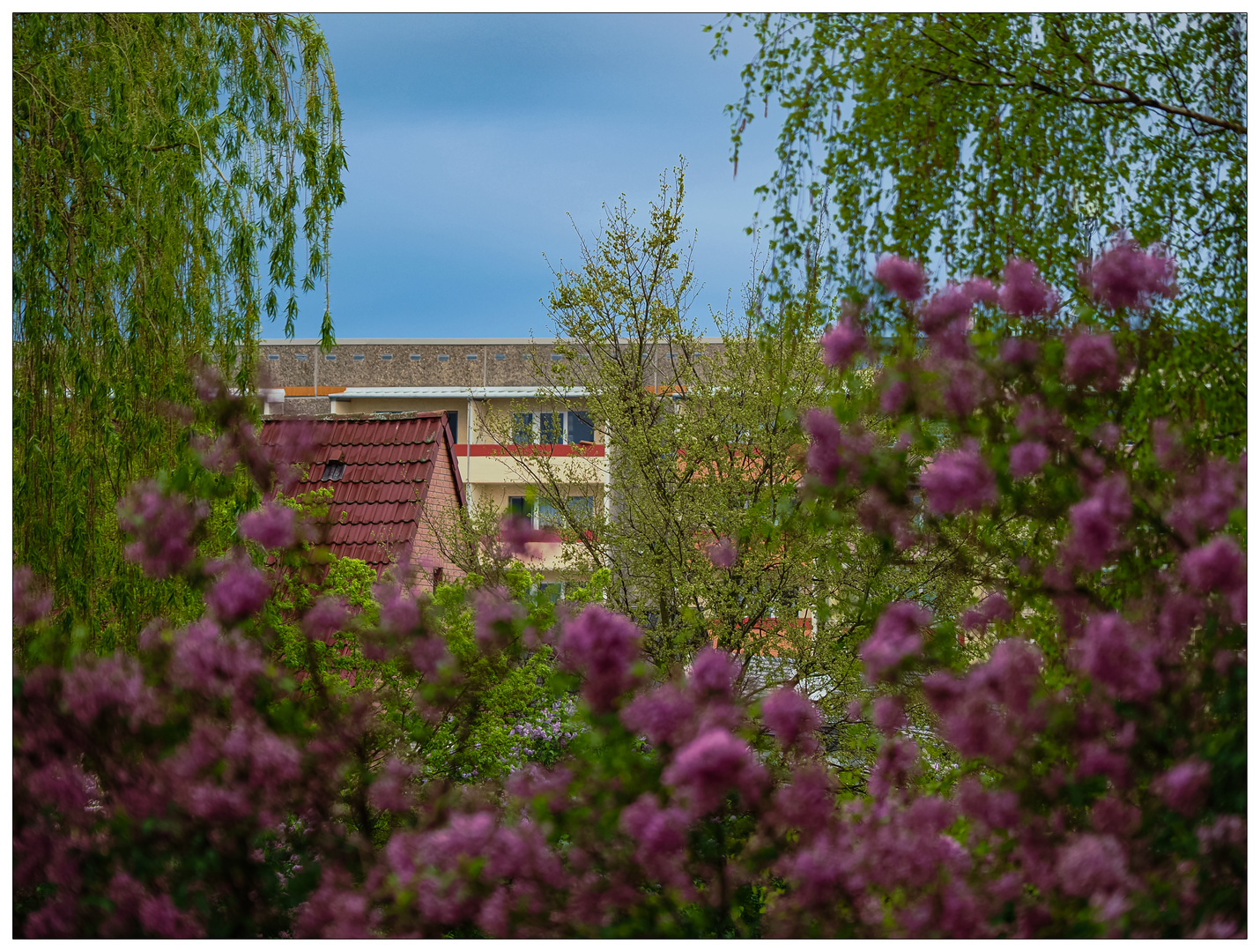 Frühling in der Stadt