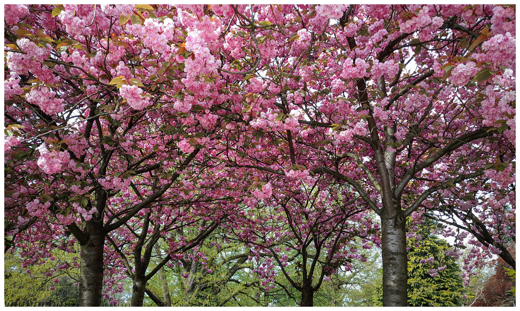 Frühling in der Stadt 4