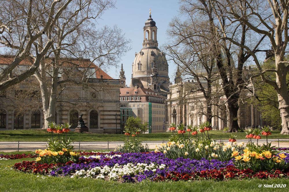 Frühling in der Stadt