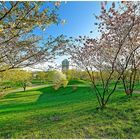 Frühling in der Stadt