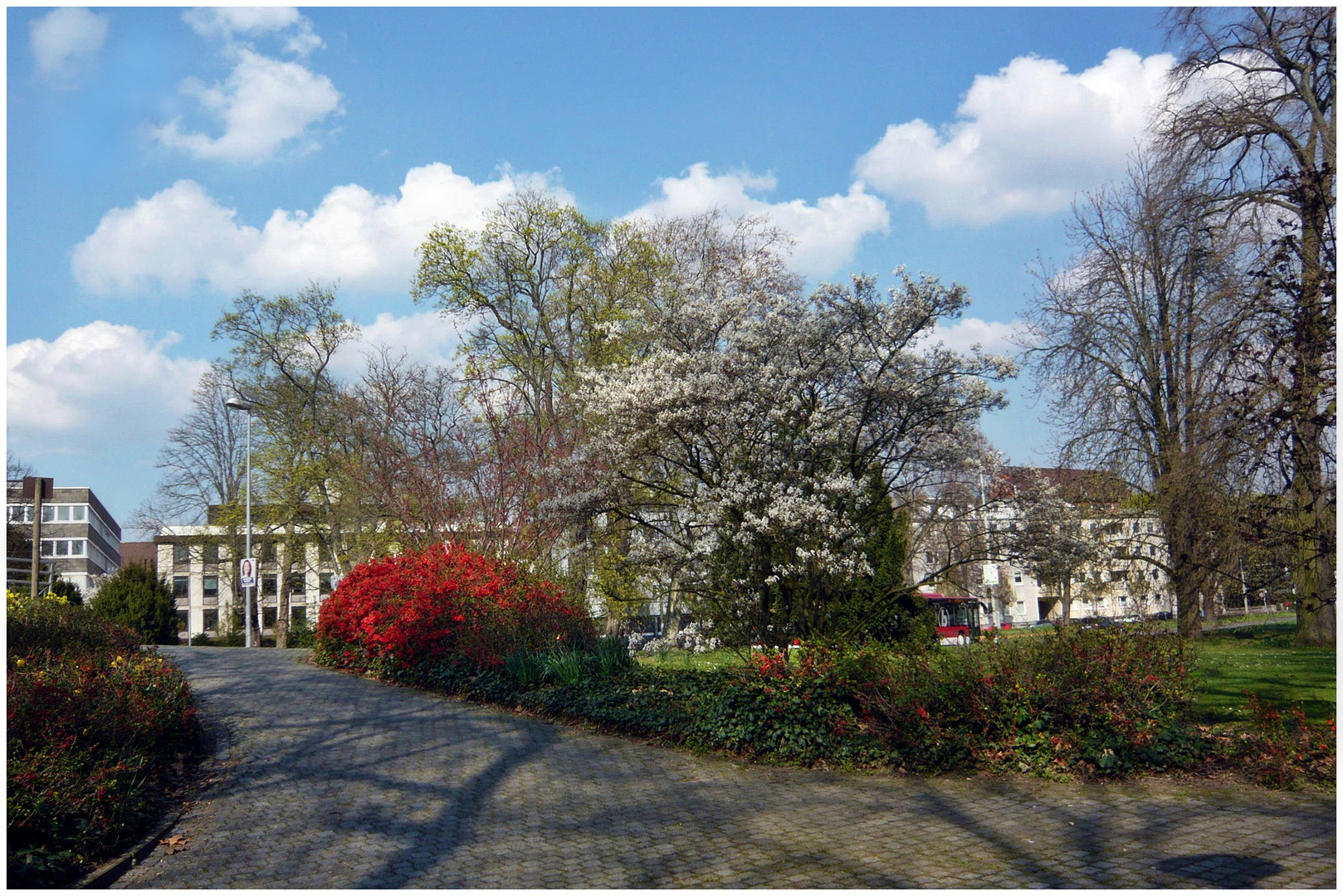 Frühling in der Stadt