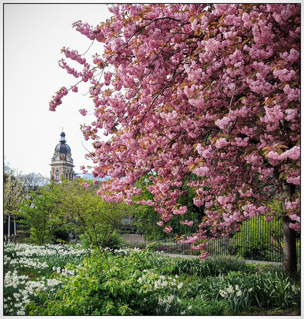 Frühling in der Stadt 5