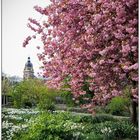 Frühling in der Stadt 5