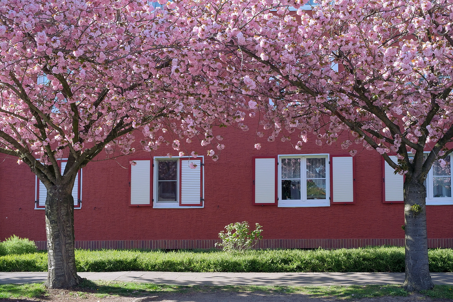 Frühling in der Stadt