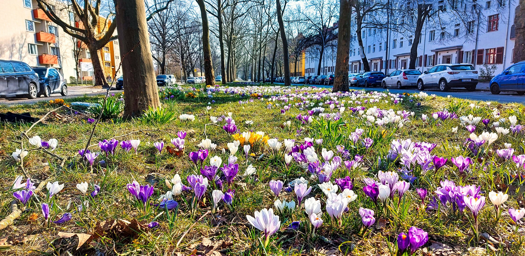 Frühling in der Stadt