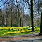 Frühling in der Stadt