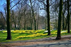 Frühling in der Stadt