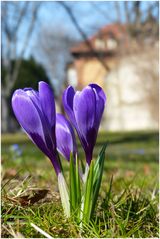 Frühling in der Stadt