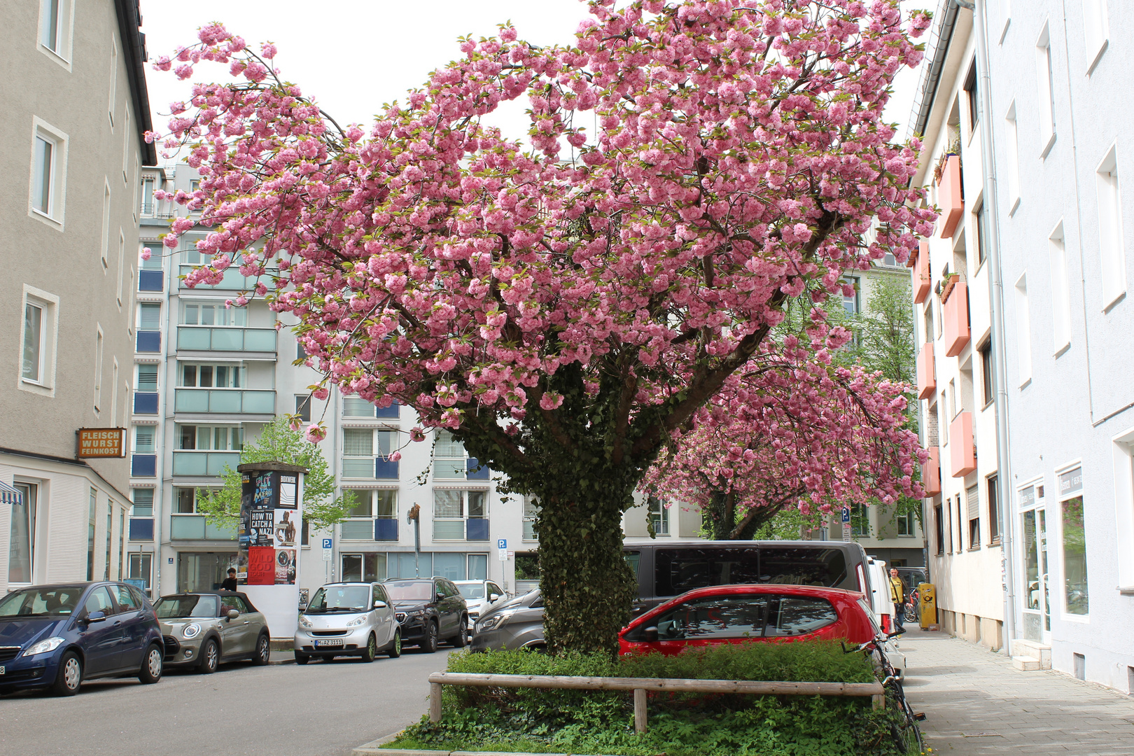 Frühling in der Stadt