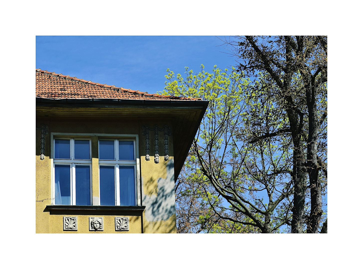 Frühling in der Stadt