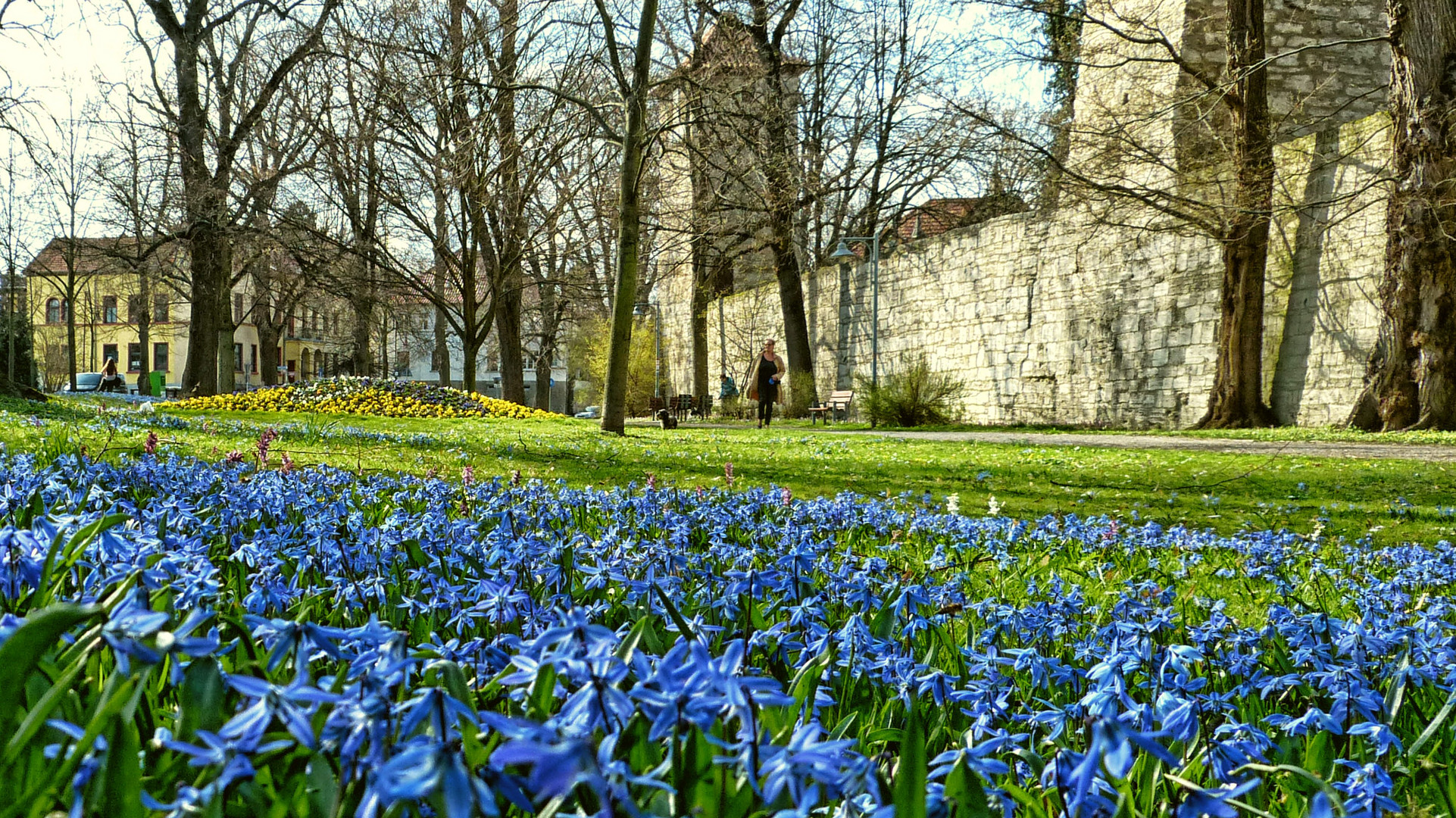 Frühling in der Stadt