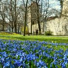 Frühling in der Stadt