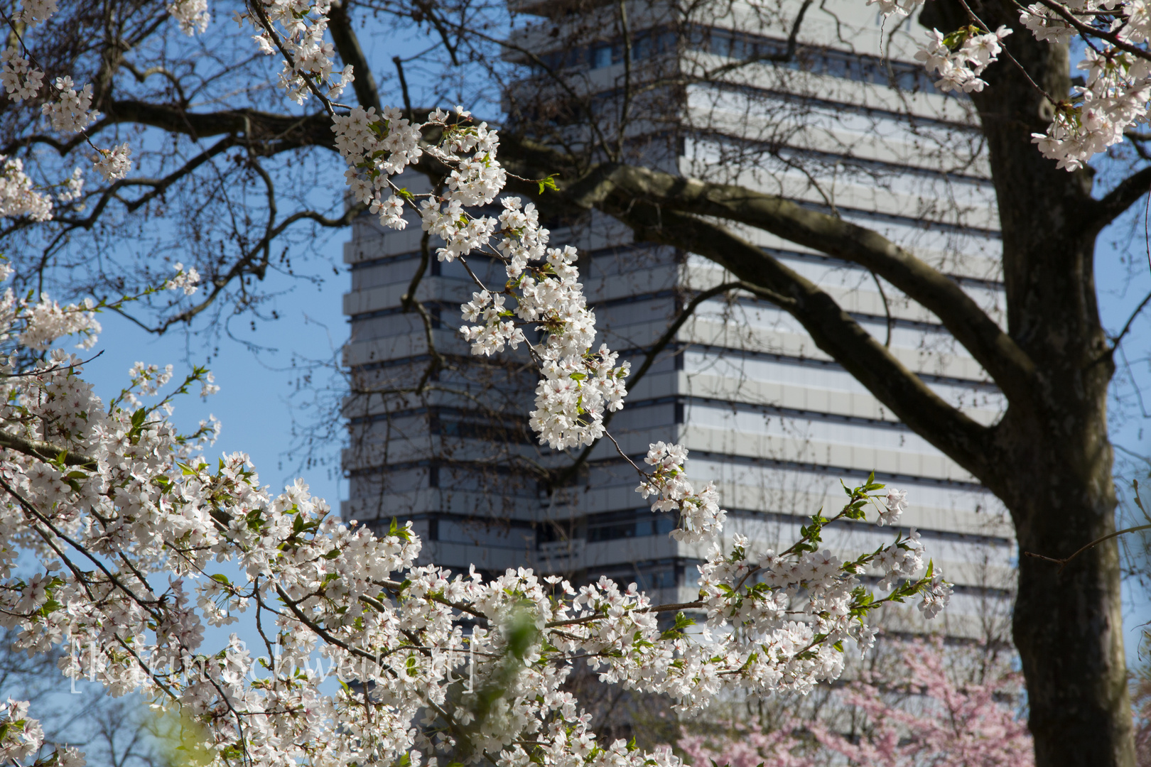 Frühling in der Stadt