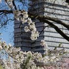 Frühling in der Stadt