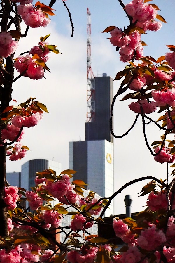 Frühling in der Stadt...