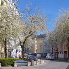 Frühling in der Stadt