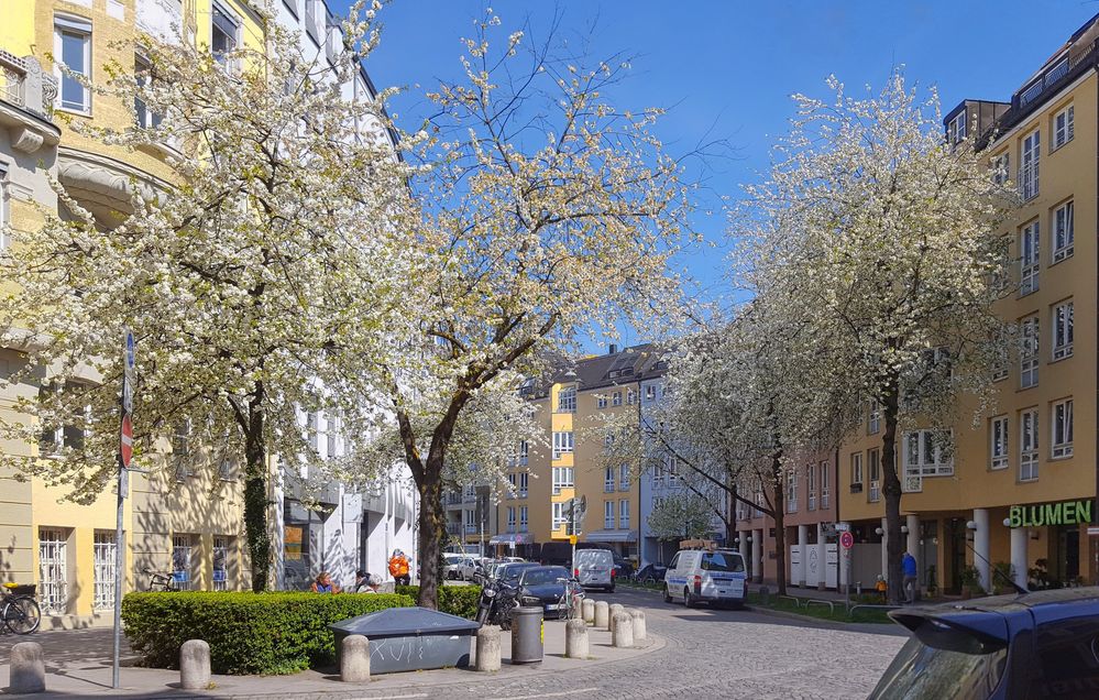 Frühling in der Stadt