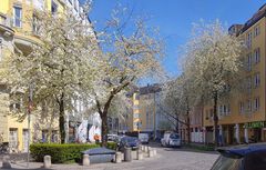 Frühling in der Stadt